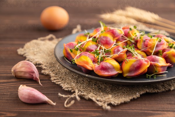 Rainbow colored dumplings with pepper, herbs, microgreen on brown wooden background and linen textile. Side view, close up, selective focus