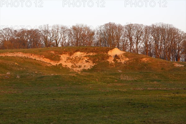 Ice Age terrain formations on the River Trebel, landscape characterised by the Ice Age, Flusslandschaft Peenetal nature park Park, Mecklenburg-Western Pomerania, Germany, Europe