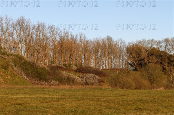 Ice Age terrain formations on the River Trebel, landscape characterised by the Ice Age, Flusslandschaft Peenetal nature park Park, Mecklenburg-Western Pomerania, Germany, Europe