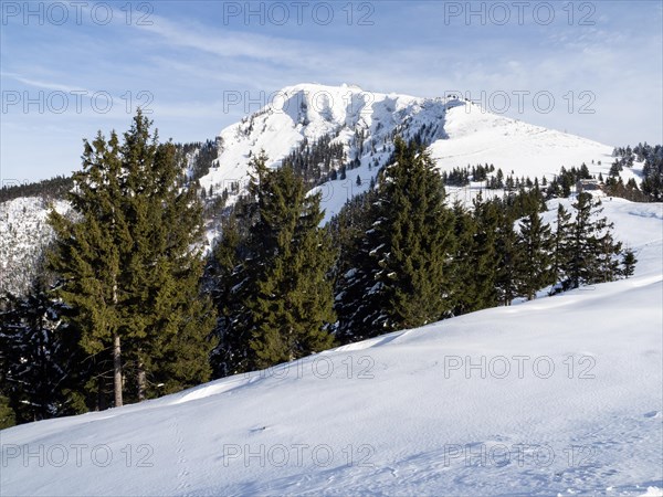 Winter landscape, view to the Schafberg, Sankt Wolfgang am Wolfgangsee, Salzkammergut, Upper Austria, Austria, Europe