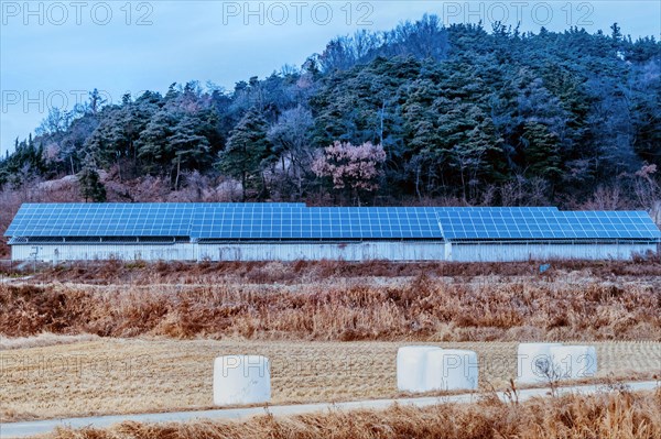 Large array of solar panels setup in countryside in front of hillside covered in lush foliage under blue sky