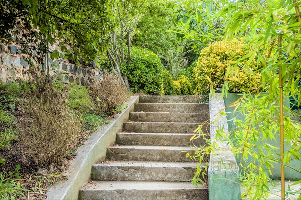 Concrete stairway into bushes and trees around castle ruins in Istanbul, Tuerkiye