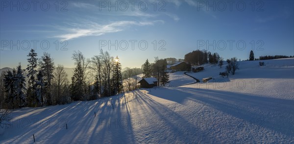 Sun shining through bare trees, snowy winter landscape on the Brunnersberg, Solothurn, Switzerland, Europe