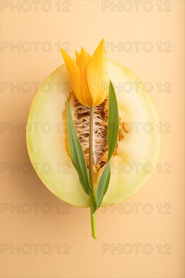 Sliced ripe yellow melon and tulip flower on orange pastel background. Top view, flat lay, close up. harvest, women health, vegan food, concept, minimalism