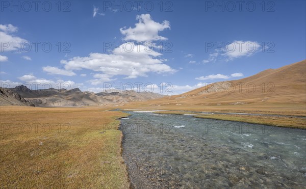 Hills with yellow meadows and river Kol Suu, hike to the mountain lake Kol Suu, Tien Shan, Naryn province, Kyrgyzstan, Asia