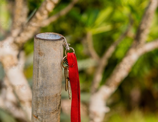 Keys on a keyring with red strap hanging from a metal pole in a wooded area in Guam