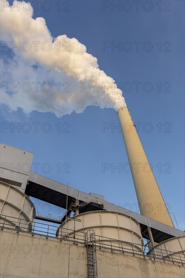 Symbolic image, energy turnaround, large power plant Mannheim, fossil fuels, smoking chimney, industrial plant, chimney, smoke, coal, Mannheim, Baden-Wuerttemberg, Germany, Europe