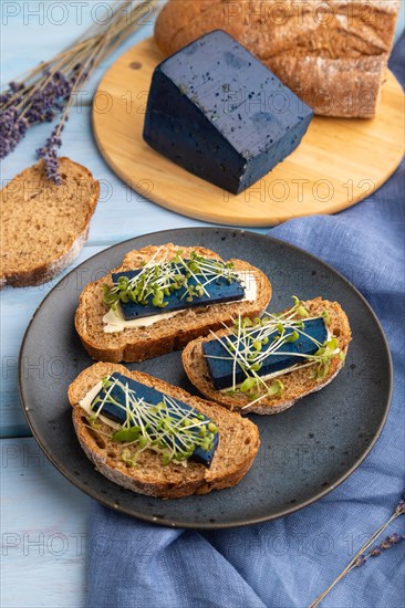 Bread sandwiches with blue lavender cheese and mustard microgreen on blue wooden background and linen textile. side view, close up