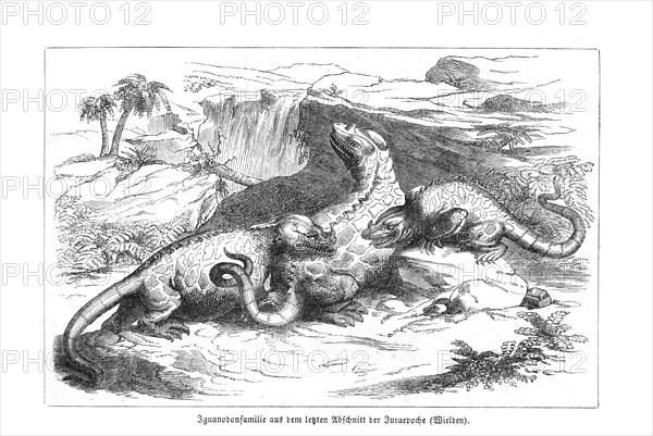 Iguanodon, dinosaur, lizard, mother with two young animals, animal family in a wild, natural historical landscape of the Cretaceous period (Lower Cretaceous, Valanginian to Aptian), historical illustration, lithograph, black and white drawing, geology, artist: Bernhard von Cotta