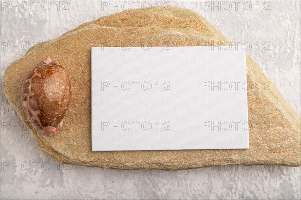 White paper business card, mockup with natural stone and seashell on gray concrete background. Blank, flat lay, top view, still life, copy space