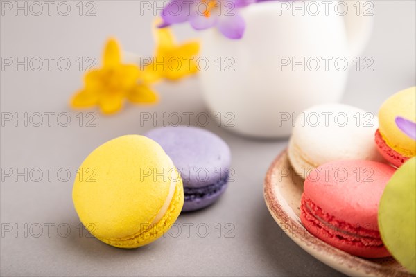 Multicolored macaroons with spring snowdrop crocus flowers on gray pastel background. side view, close up, still life, selective focus. Breakfast, morning, spring concept