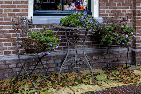 Flower decoration in front of a house, Oosterend, North Sea island Texel, North Holland, Netherlands