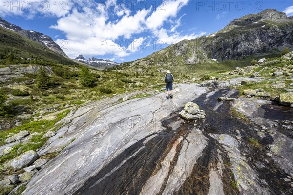 Mountaineers on a hiking trail in front of a picturesque mountain landscape, rocky mountain peaks with snow, behind mountain hut Berliner Huette and rocky mountain peaks, Berliner Hoehenweg, Zillertal Alps, Tyrol, Austria, Europe