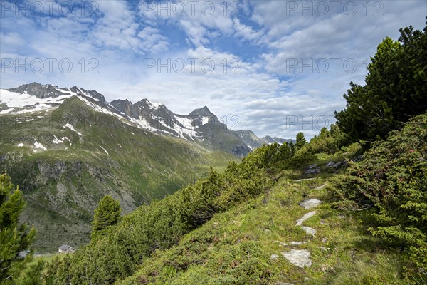 Hiking trail in a picturesque mountain landscape, Berliner Hoehenweg, Zillertal Alps, Tyrol, Austria, Europe
