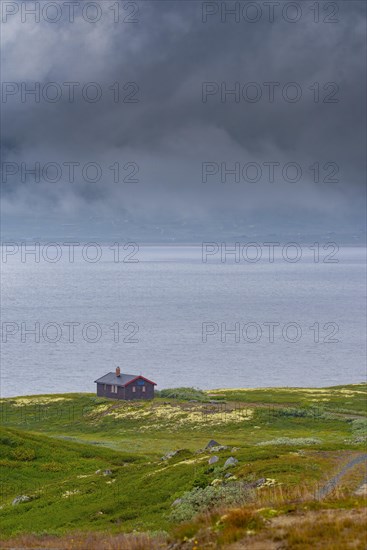 Shot of a hut on Lake Soenstevatn in the rain, portrait format, inland waters, log cabin, holiday home, fell, treeless plateau, fell hut, plateau, wooden house, landscape, landscape photo, panoramic shot, summer, shore, clouds, secluded, remote, lonely, Uvdal, Viken, Norway, Europe