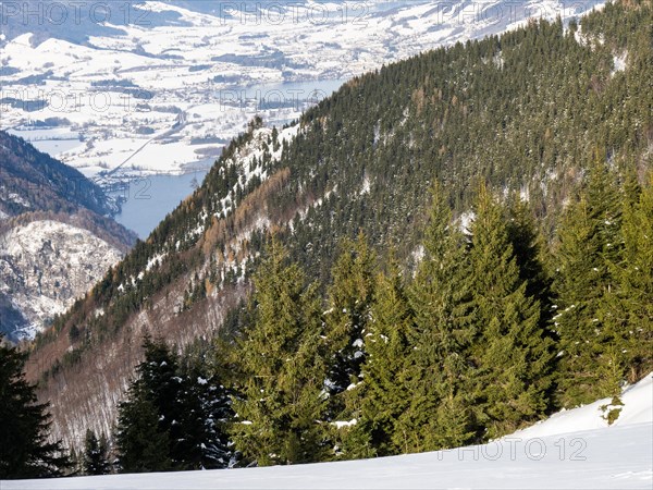 Winter atmosphere, snowy landscape, view from the Schafbergalm to the Mondsee, near St. Wolfgang, Salzkammergut, Upper Austria, Austria, Europe
