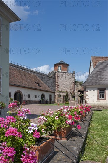 Historic municipal wine press and former town wall, Westhoffen, Alsace, France, Europe