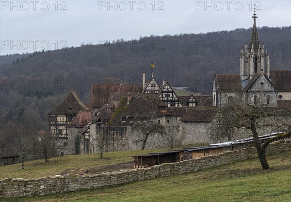 View of a medieval monastery with church tower and half-timbered houses on a cloudy day