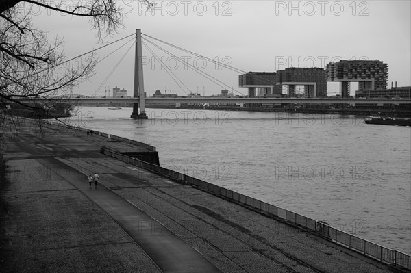 View over the Rhine with crane houses and bridge, black and white, Cologne, Germany, Europe