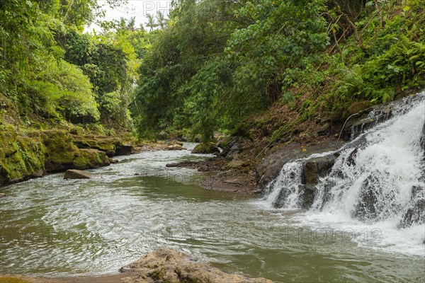 Uma Anyar waterfall, Bali island, Ubud, Indonesia. Jungle, tropical forest, daytime with cloudy sky