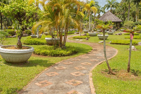 Palm collection in city park in Kuching, Malaysia, tropical garden with large trees and lawns, gardening, landscape design. Daytime with cloudy blue sky, Asia