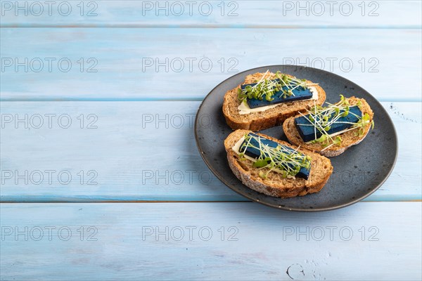 Bread sandwiches with blue lavender cheese and mustard microgreen on blue wooden background. side view, copy space