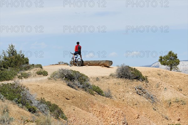 Trails at the canyon rim, Bryce Canyon National Park, Utah, USA, North America