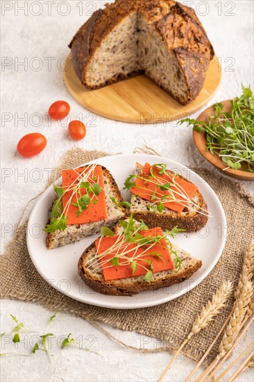 Grain bread sandwiches with red tomato cheese and mizuna cabbage microgreen on gray concrete background and linen textile. side view, close up