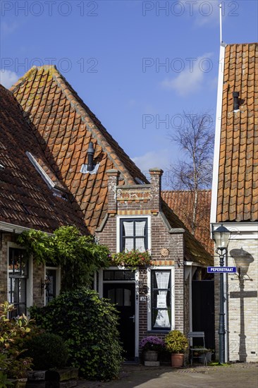 Fishing village Oosterend with the smallest house of Oosterend, North Sea island Texel, North Holland, Netherlands