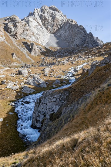 Mountain stream Kol Suu near the natural dam wall, mountain landscape with yellow meadows and rocky mountain top, Keltan Mountains, Sary Beles Mountains, Tien Shan, Naryn Province, Kyrgyzstan, Asia