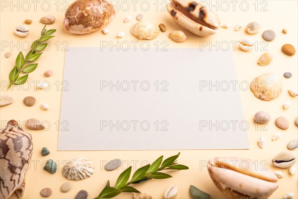 Composition with gray paper sheet, seashells, pebbles, green boxwood. mockup on orange background. Blank, side view, still life, copy space. travel concept