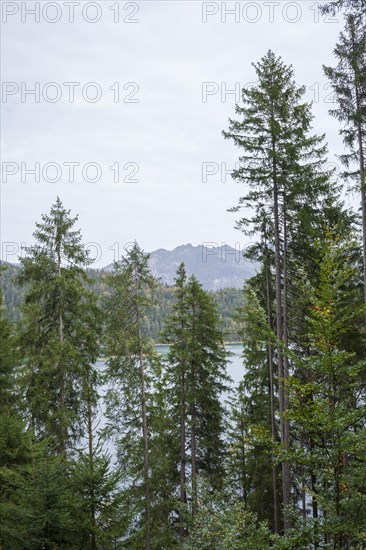 Zugspitze massif with Eibsee lake, Wetterstein mountains, Grainau, Werdenfelser Land, Upper Bavaria, Bavaria, Germany, Europe