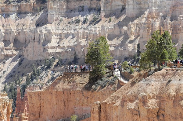 Trails at the canyon rim, Bryce Canyon National Park, Utah, USA, North America