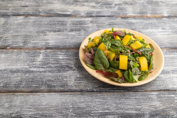 Vegetarian vegetables salad of yellow pepper, beet microgreen sprouts on gray wooden background. Side view, copy space