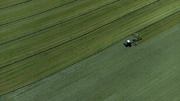 Farmer cutting grass to straight rows with tractor and large roundabout rake, drone shot, Upper Bavaria, Bavaria, Germany, Europe