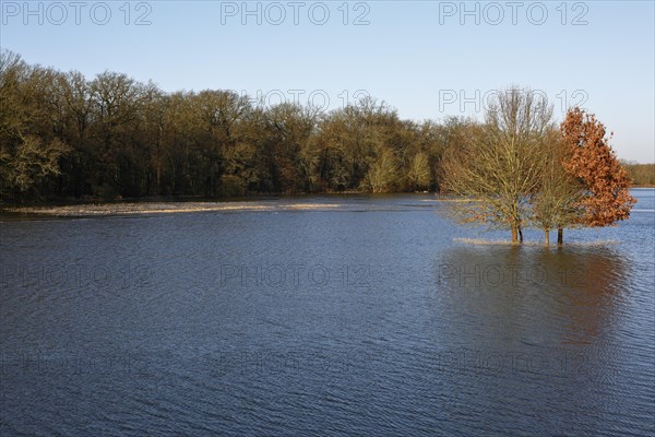 Winter floods 2024 on the Elbe and Mulde rivers with flooding of the meadows, ice on the meadows due to flooding in winter, high-pressure weather in winter, Middle Elbe Biosphere Reserve, Dessau-Rosslau, Saxony-Anhalt, Germany, Europe