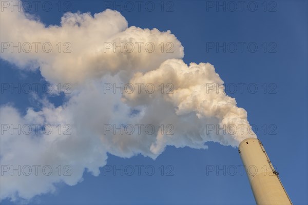 Symbolic image energy transition, fossil fuels, smoking chimney, industrial plant, chimney, flue, smoke, coal, Mannheim, Baden-Wuerttemberg, Germany, Europe