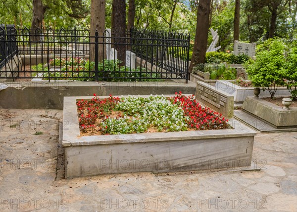 Beautiful red and white flowers growing on grave inside Asiyan cemetery in Istanbul, Tuerkiye