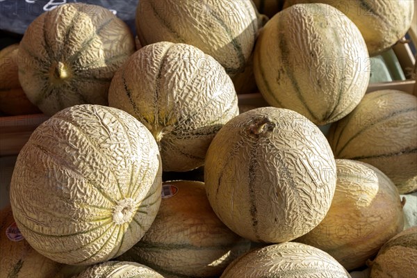 Cantaloupe melons, market stall, market sale, Pleubian, Brittany, France, Europe