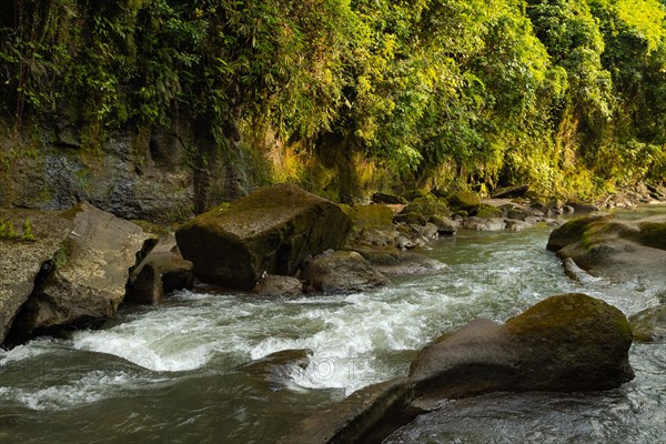 Uma Anyar waterfall, Bali island, Ubud, Indonesia. Jungle, tropical forest, daytime with cloudy sky