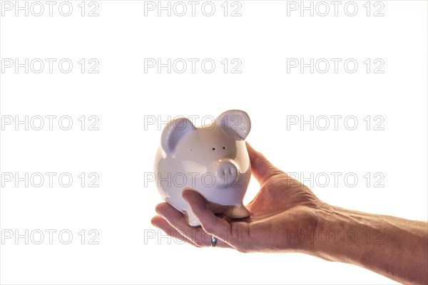 Hand of a man holding a white piggy bank in front of a white background, studio shot, Germany, Europe
