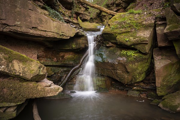 Forest landscape, a stream flows with a waterfall over coloured sandstone in the Margarethenschlucht (Margaret Gorge) in the Odenwald in spring. Long exposure. Neckargerach district, Baden-Wuerttemberg, Germany, Europe