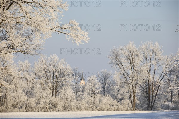 Snowy, sunny winter landscape near Polling an der Ammer. View of the church tower of Oderding. Polling, Paffenwinkel, Upper Bavaria, Germany, Europe