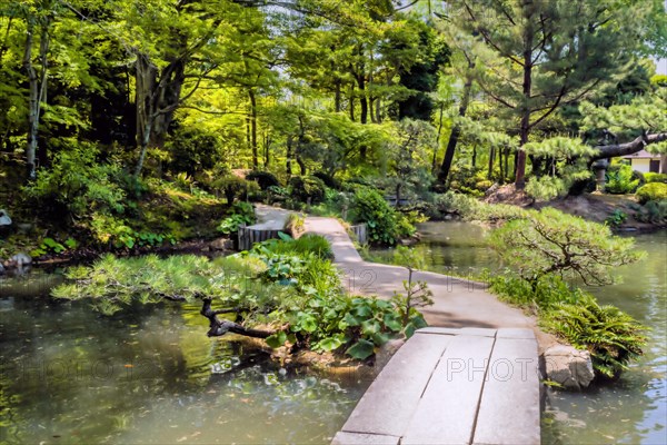 Wooden bridge and walking trail in Japanese garden in Hiroshima, Japan, Asia