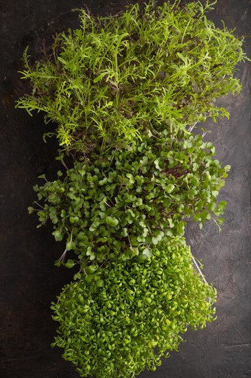 Set of boxes with microgreen sprouts of watercress, mizuna and kohlrabi cabbage on black concrete background. Top view, flat lay, close up