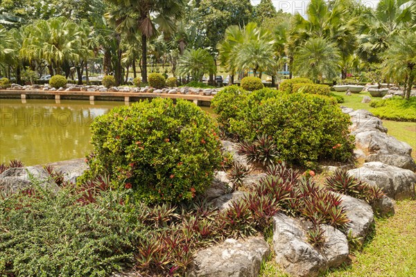 Palm collection in city park in Kuching, Malaysia, tropical garden with large trees and lawns, gardening, landscape design, stone composition, rockery. Daytime with cloudy blue sky, Asia