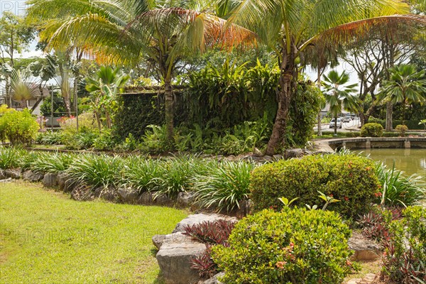 Palm collection in city park in Kuching, Malaysia, tropical garden with large trees and lawns, gardening, landscape design, stone composition, rockery. Daytime with cloudy blue sky, Asia