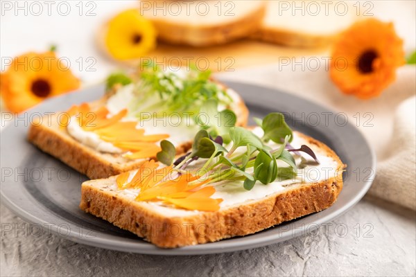 White bread sandwiches with cream cheese, calendula petals and microgreen radish and tagetes on gray concrete background and linen textile. side view, selective focus