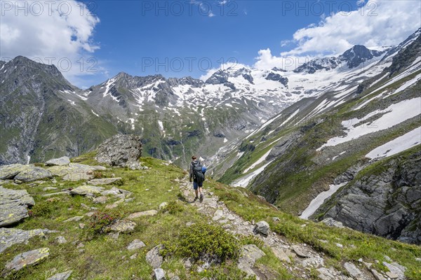 Mountaineer on hiking trail in picturesque mountain landscape, in the background mountain peak Grosser Loeffler with glacier Floitenkees, valley Floitengrund, Berliner Hoehenweg, Zillertal Alps, Tyrol, Austria, Europe