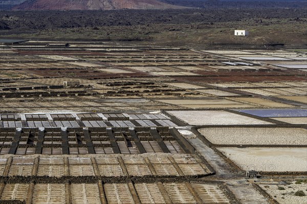 Sea salt extraction, Janubio salt works, Salinas de Janubio, Lanzarote, Canary Islands, Spain, Europe